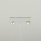 9ct Yellow Gold 6mm Button Freshwater Pearl Stud Earrings