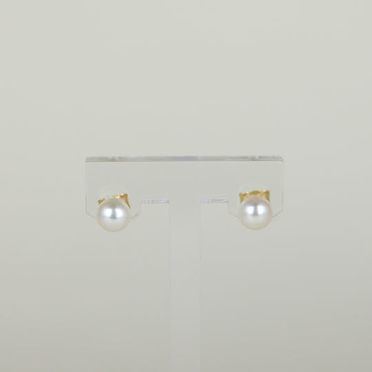 9ct Yellow Gold 6mm Button Freshwater Pearl Stud Earrings