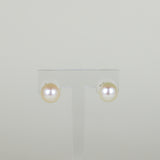 9ct Yellow Gold 8mm Button Freshwater Pearl Stud Earrings