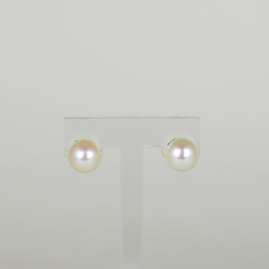 9ct Yellow Gold 8mm Button Freshwater Pearl Stud Earrings