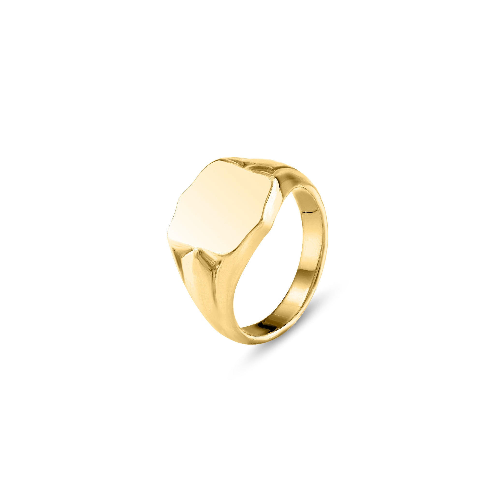The Anthony Paul Signet Ring